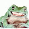 CheshireFrog