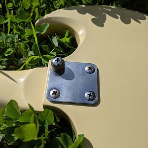 Epiphone G-310 neck plate